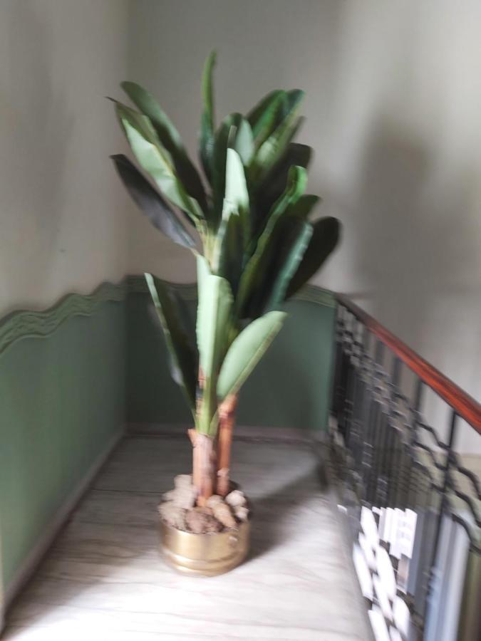 Costa E Mare Apartman Savona Kültér fotó